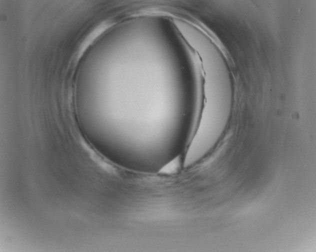 X0000076310909200610271936