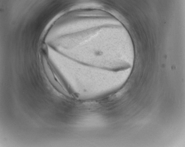 X0000076310912200610271936