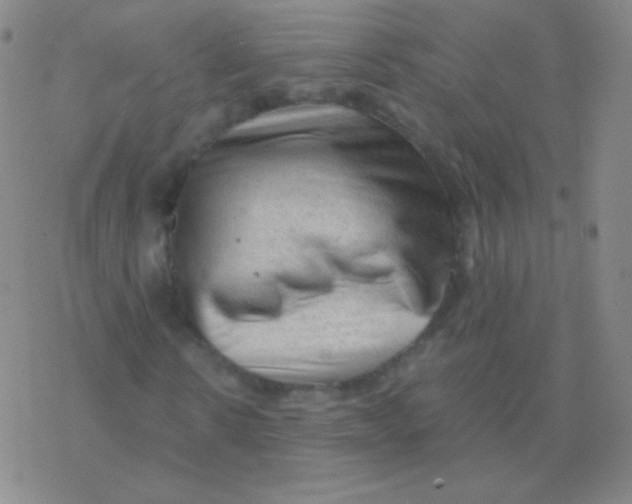 X0000076310914200610271935