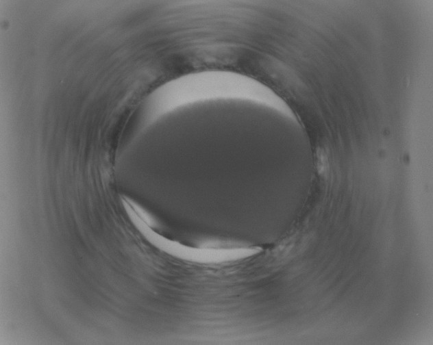 X0000076310915200610271935