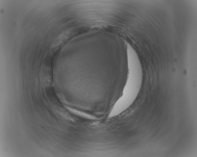 X0000076310916200610271935