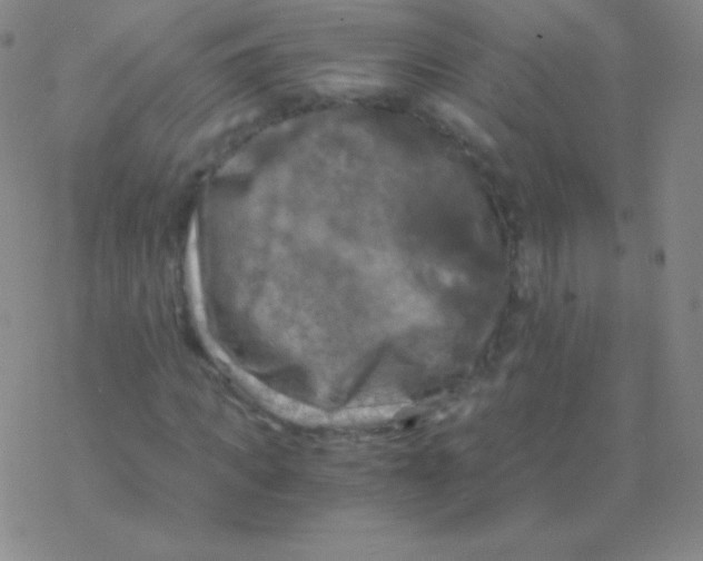 X0000076310917200610271935