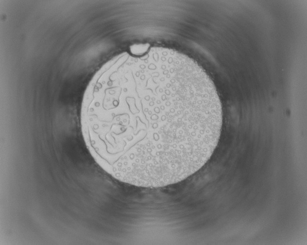 X0000076310918200610271935