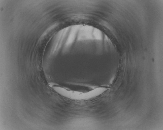 X0000076310919200610271935