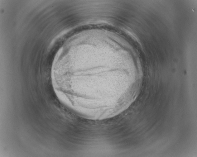 X0000076310920200610271935