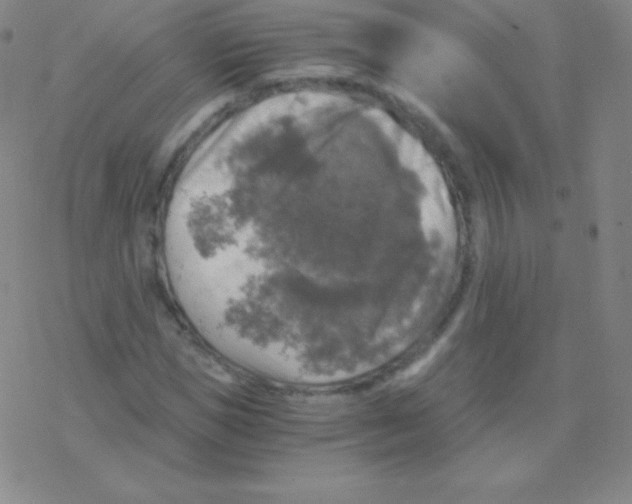 X0000076310921200610271935