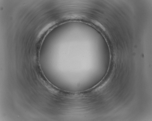 X0000076310922200610271935