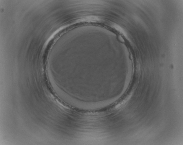 X0000076310923200610271935