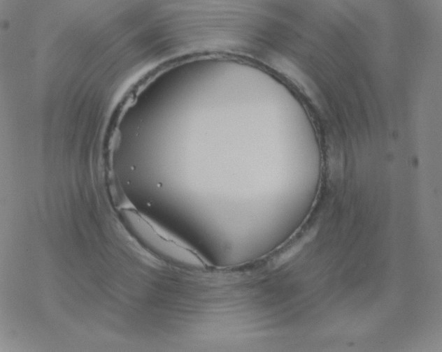 X0000076310924200610271935