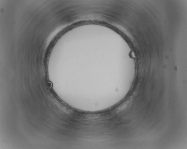 X0000076310927200610271935