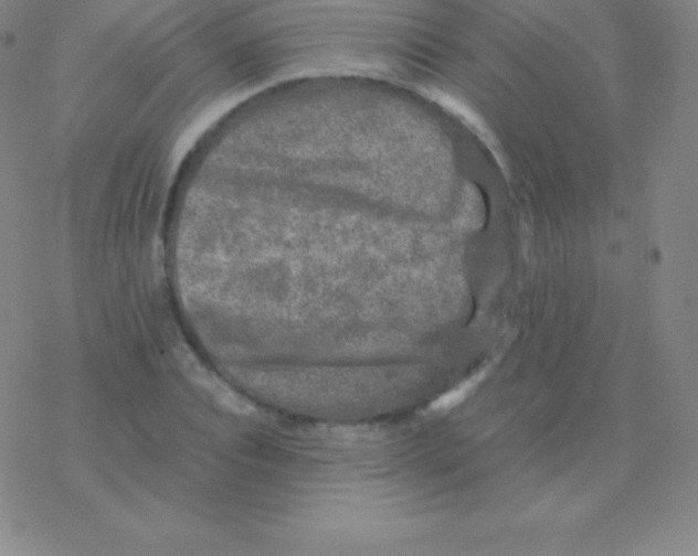 X0000076310928200610271935