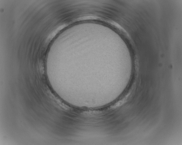 X0000076310929200610271935