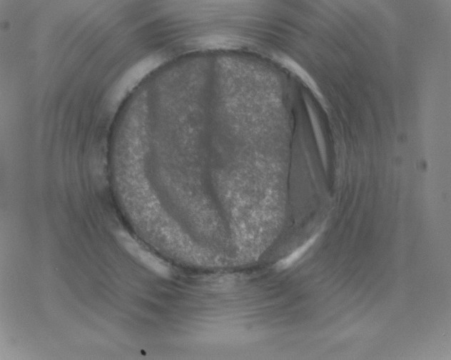 X0000076310930200610271935