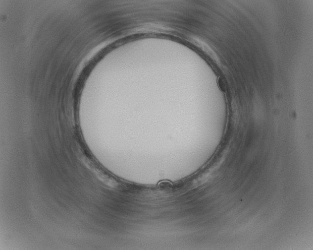 X0000076310931200610271935