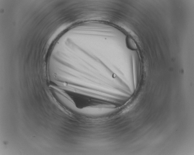 X0000076310933200610271935