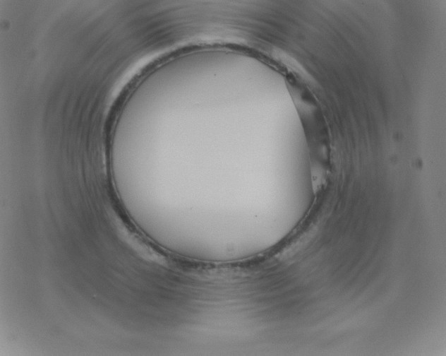 X0000076310934200610271935