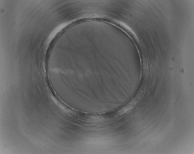 X0000076310935200610271935