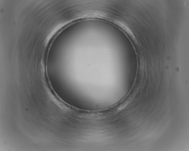 X0000076310936200610271935