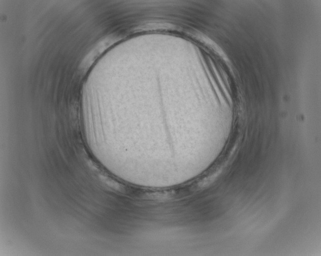 X0000076310937200610271935