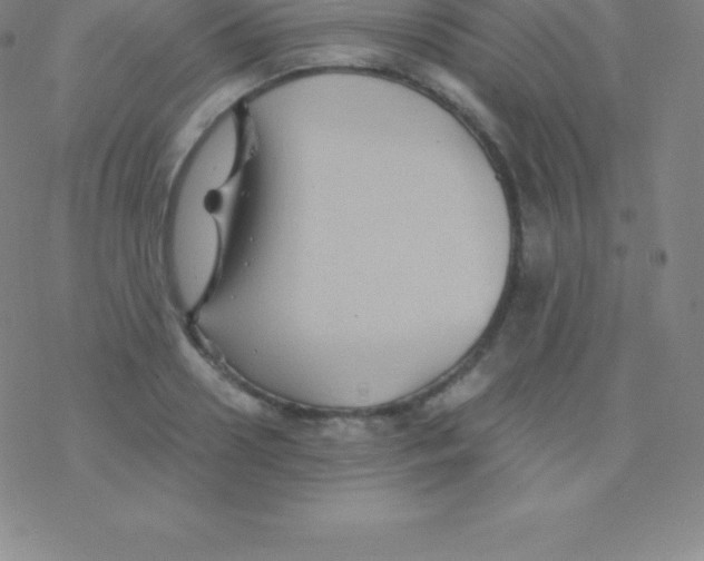 X0000076310938200610271935