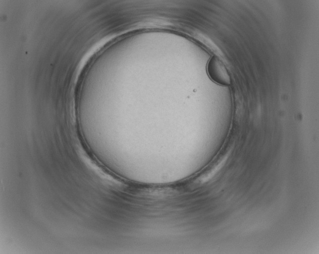 X0000076310939200610271935