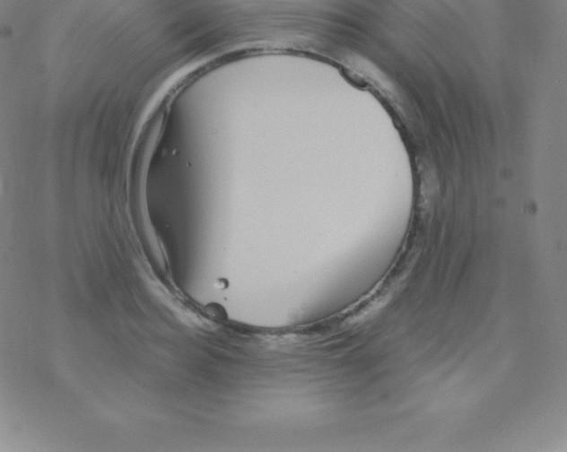 X0000076310940200610271936