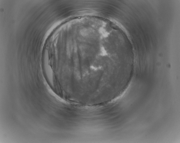 X0000076310941200610271936