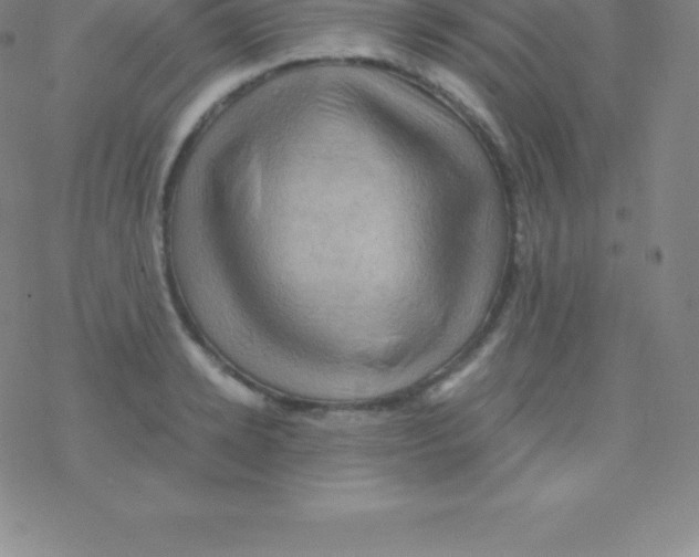 X0000076310942200610271936