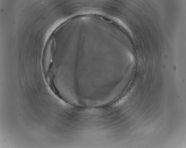 X0000076310943200610271936