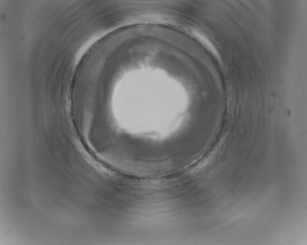 X0000076310944200610271936