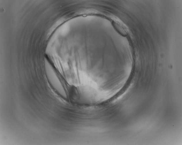 X0000076310945200610271936