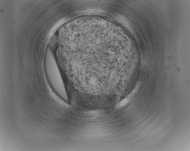 X0000076310946200610271936