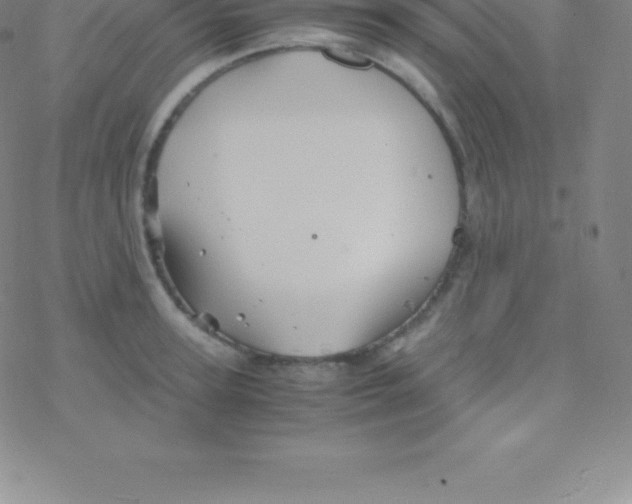 X0000076310947200610271936