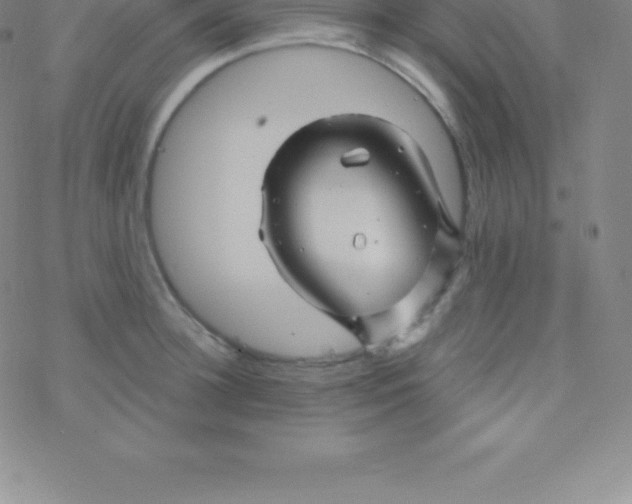 X0000076310948200610271936