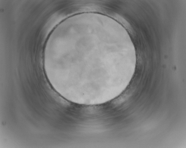 X0000076310950200610271936