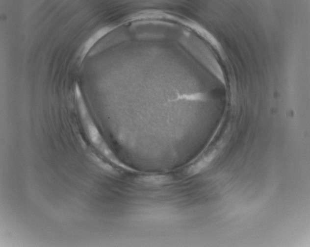 X0000076310953200610271936