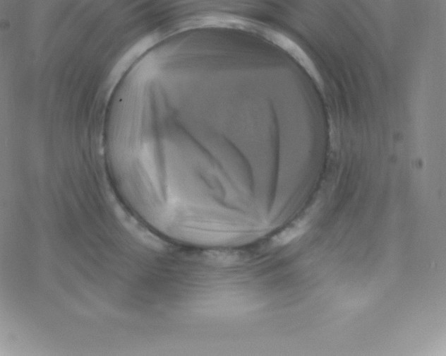 X0000076310954200610271936