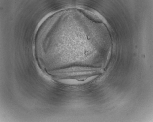 X0000076310955200610271936