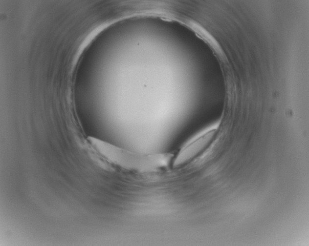 X0000076310956200610271936