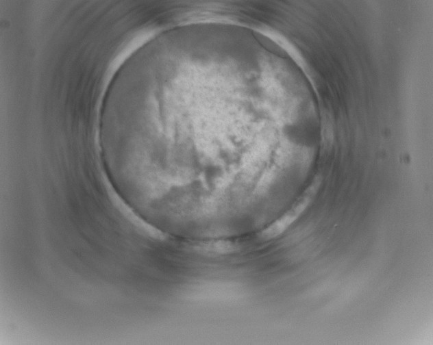 X0000076310957200610271936