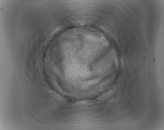 X0000076310961200610271935