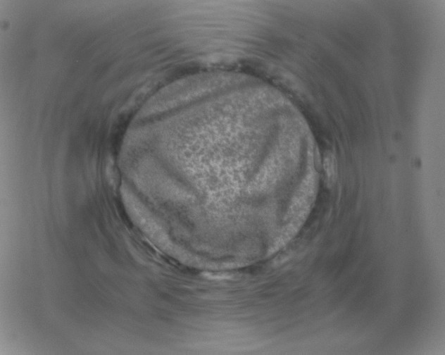 X0000076310963200610271935