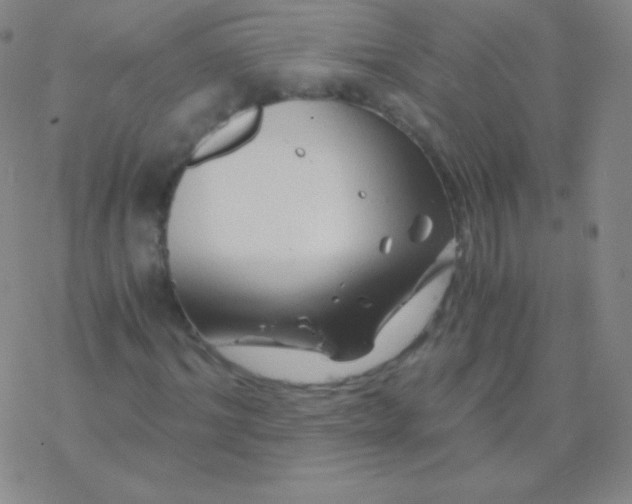 X0000076310964200610271935