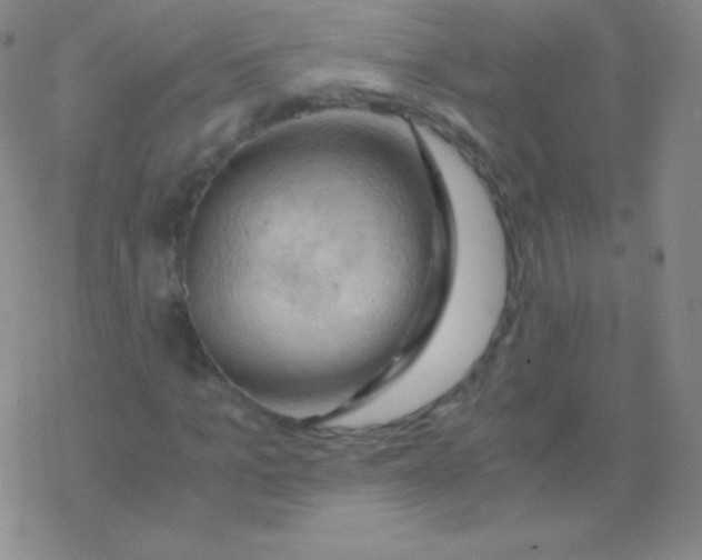 X0000076310965200610271935