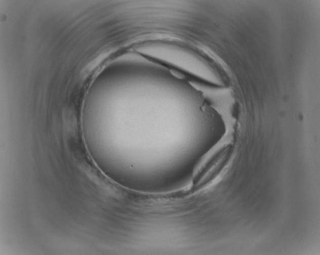 X0000076310969200610271935