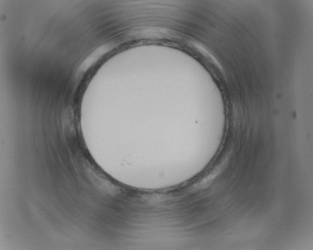 X0000076310970200610271935