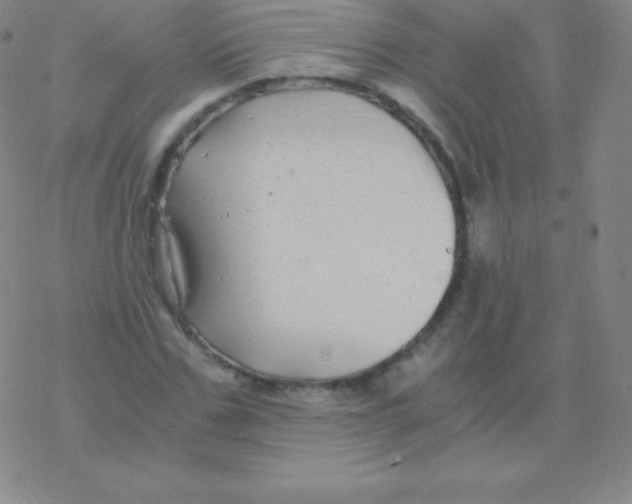 X0000076310971200610271935