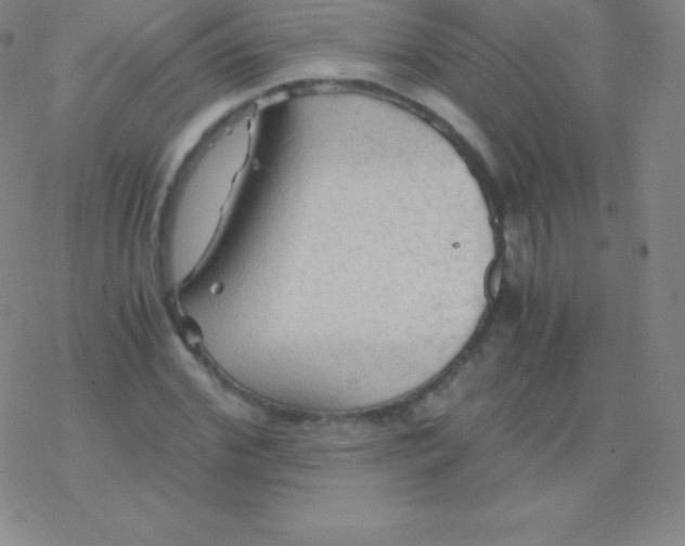 X0000076310972200610271935