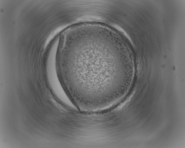 X0000076310973200610271935