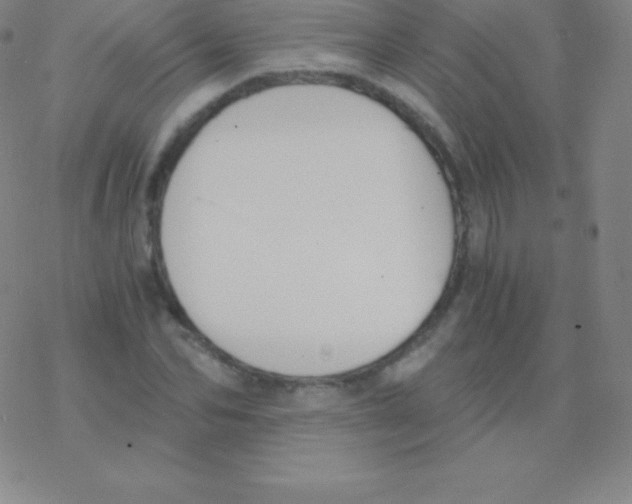 X0000076310974200610271935